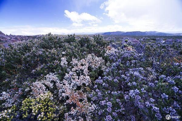 【系统联建】红旗科室·竞进标兵风采事迹展播（第十四期）