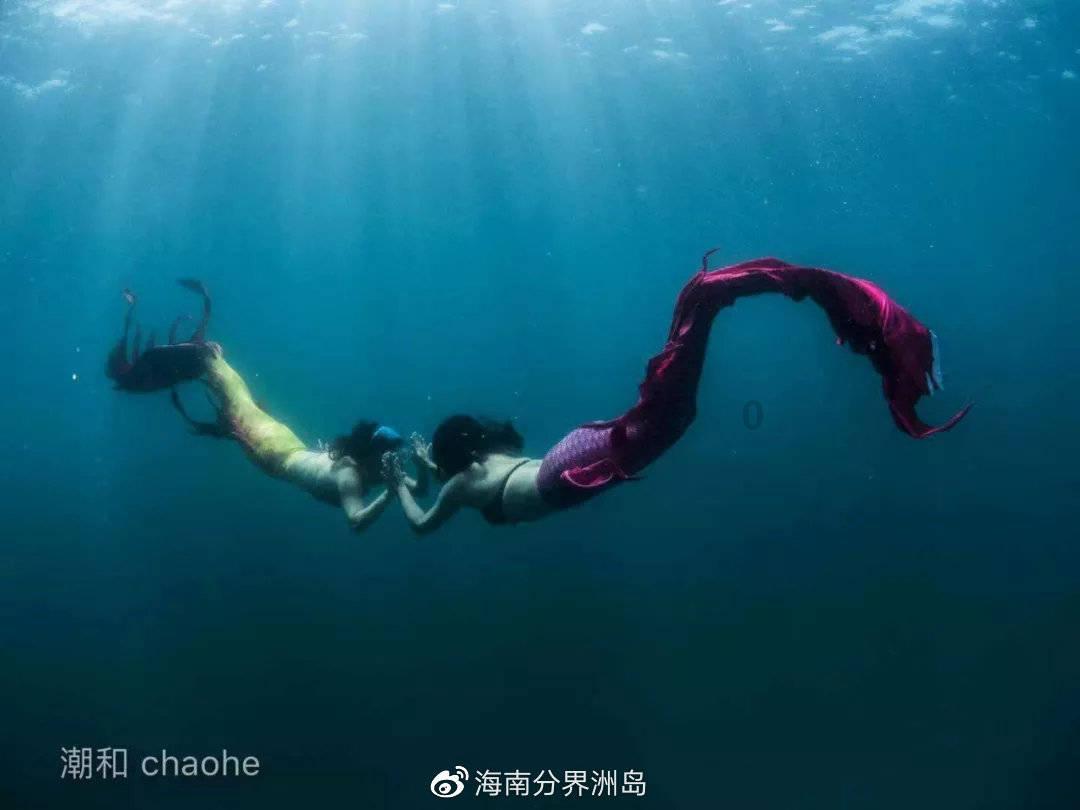 动物滑动拼图